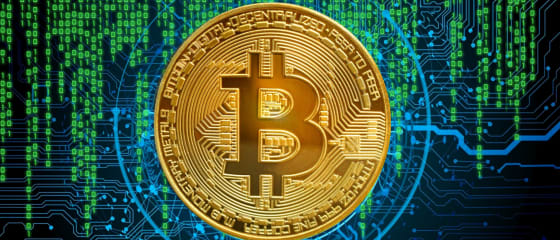Apa Itu Kasino Langsung Bitcoin?