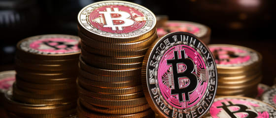 Panduan Pemula untuk Bermain di Bitcoin Live Casinos 2024
